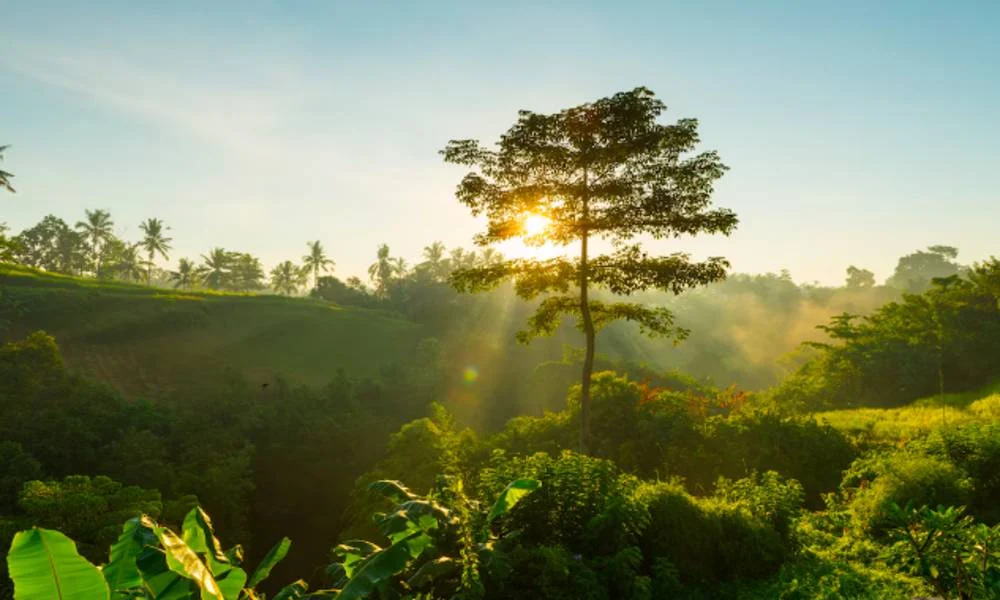 biaya pengurusan amdal